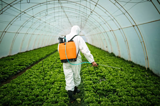 Best Best Pest Control Companies  in Dagsboro, DE