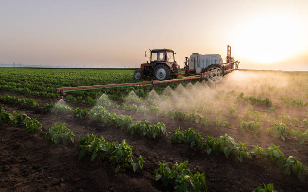 Pest Prevention Services in Dagsboro, DE