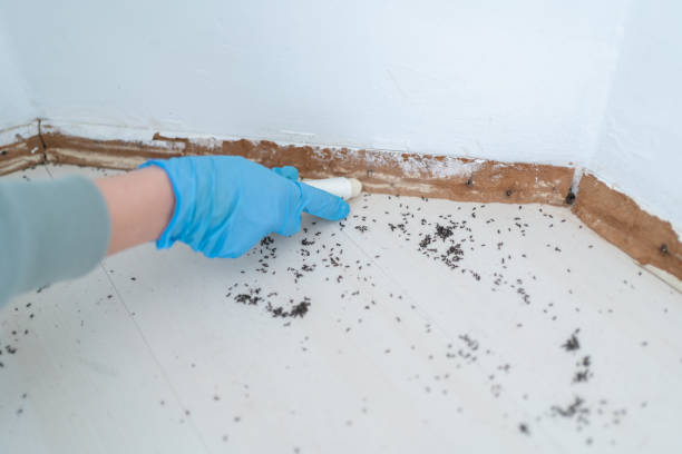Best Exterminator Services  in Dagsboro, DE